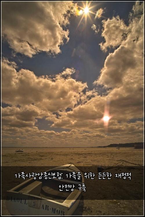 가족사랑암종신보험: 가족을 위한 든든한 재정적 안전망 구축