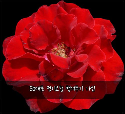 50๋์ด ์ ๊ธฐ๋ณดํ ์ฑ๊ฒจ๋๊ธฐ ๊ฐ์