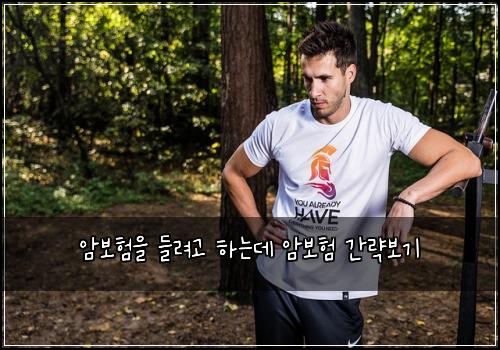 암보험을 들려고 하는데 암보험 간략보기