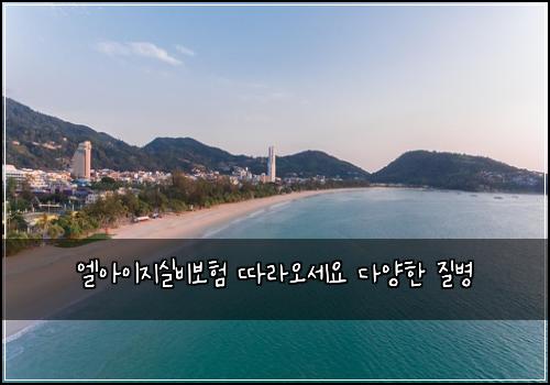 엘아이지실비보험 따라오세요  다양한 질병