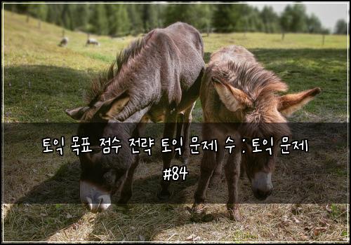 토익 목표 점수 전략 토익 문제 수 : 토익 문제 #84