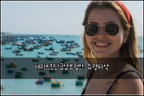 ๋ฉ๋ฆฌ์ธ ์ง๋จ๊ธ์๋ณดํ๋ง ์๋ นํ์
