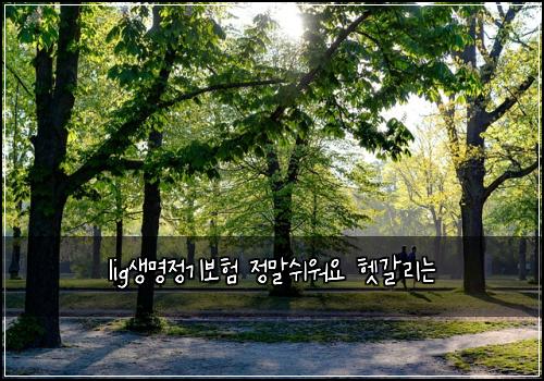 lig생명정기보험 정말쉬워요  헷갈리는