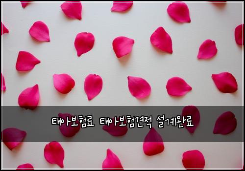 태아보험료 태아보험견적 설계완료