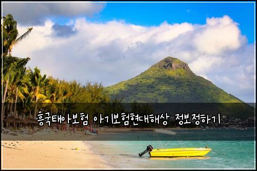 흥국태아보험 아기보험현대해상 정보정하기