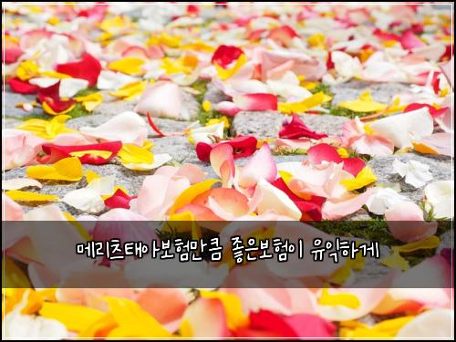 ๋ฉ๋ฆฌ์ธ ํ์๋ณดํ๋งํผ ์ข์๋ณดํ์ด ์ ์ตํ๊ฒ