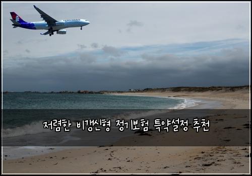 저렴한 비갱신형 정기보험 특약설정  추천