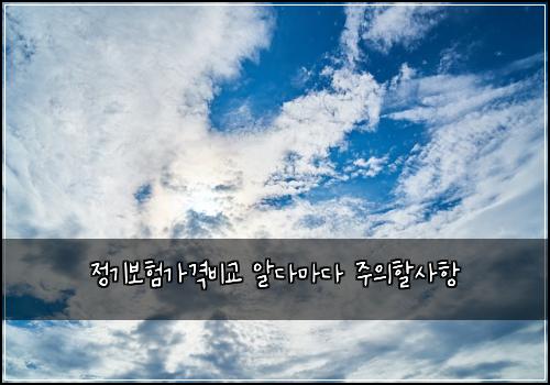정기보험가격비교 알다마다 주의할사항
