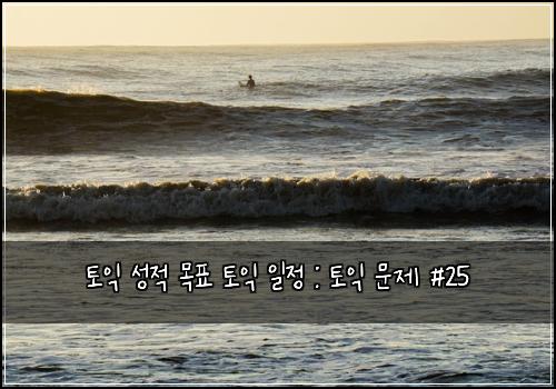 토익 성적 목표 토익 일정 : 토익 문제 #25