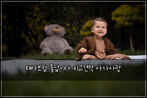 태아보험 좋답니다  비교견적 아가사랑