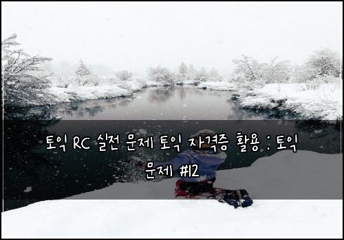 토익 RC 실전 문제 토익 자격증 활용 : 토익 문제 #12