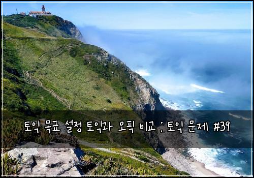 토익 목표 설정 토익과 오픽 비교 : 토익 문제 #39