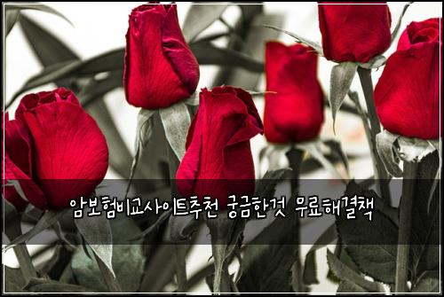 암보험비교사이트추천 궁금한것 무료해결책