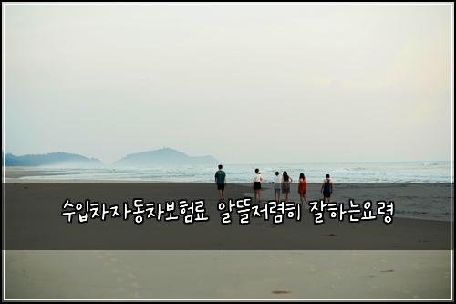 수입차자동차보험료 알뜰저렴히 잘하는요령