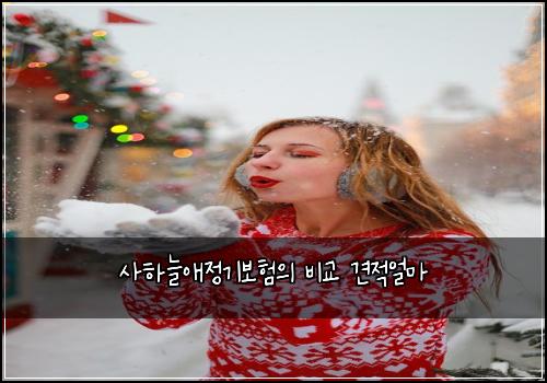 사하늘애정기보험의 비교 견적얼마