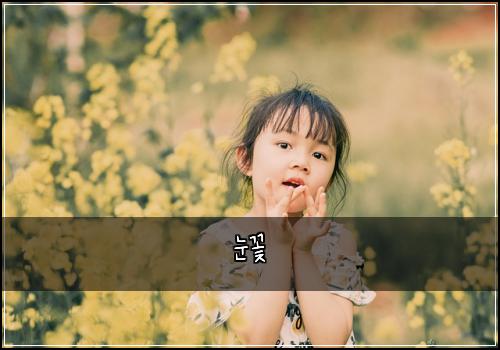 눈꽃