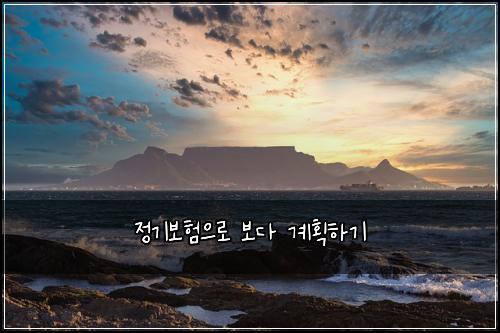 정기보험으로 보다 계획하기
