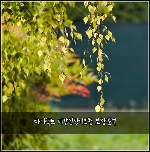 다이렉트 비갱신정기보험 보장분석 