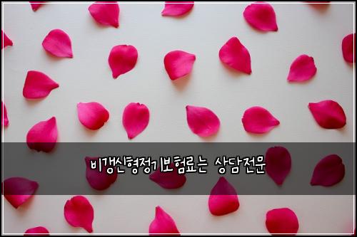 비갱신형정기보험료는 상담전문