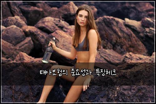 νμ보νμ μ€μμ±κ³Ό νΉμ§μ²΄ν¬