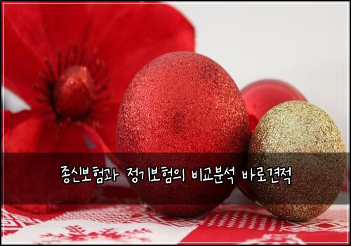 종신보험과 정기보험의 비교분석 바로견적