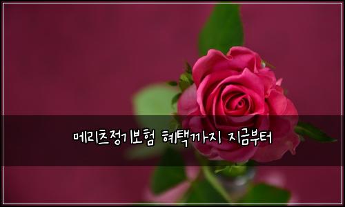 ๋ฉ๋ฆฌ์ธ ์ ๊ธฐ๋ณดํ ํํ๊น์ง ์ง๊ธ๋ถํฐ