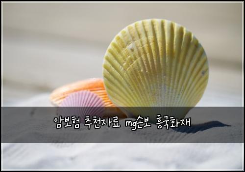 암보험 추천자료  mg손보 흥국화재