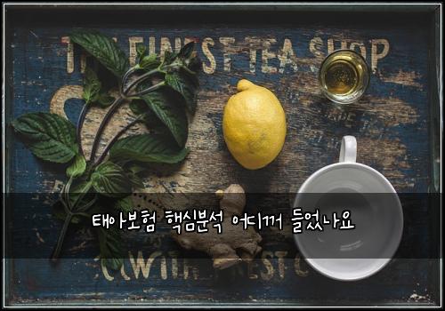 태아보험 핵심분석  어디꺼 들었나요