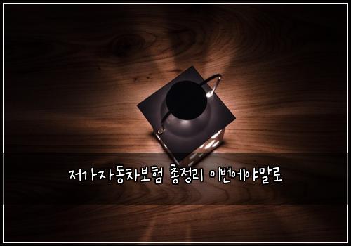 저가자동차보험 총정리  이번에야말로