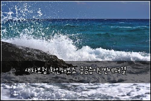 새차보험 확인해보죠  궁금증이단번에해결