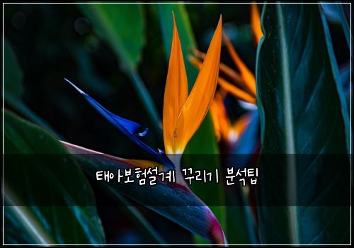 태아보험설계 꾸리기 분석팁