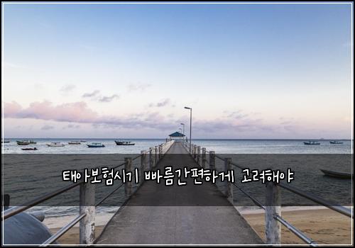 태아보험시기 빠름간편하게 고려해야
