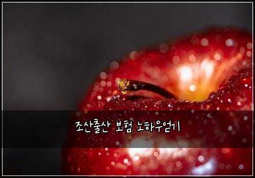 조산출산 보험 노하우얻기 