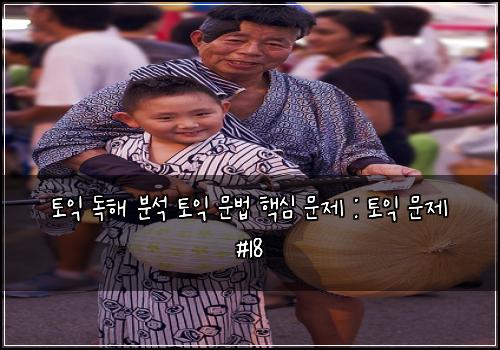 토익 독해 분석 토익 문법 핵심 문제 : 토익 문제 #18