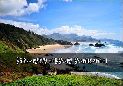 흥국화제암보험 바른설계법  설계해보러가기
