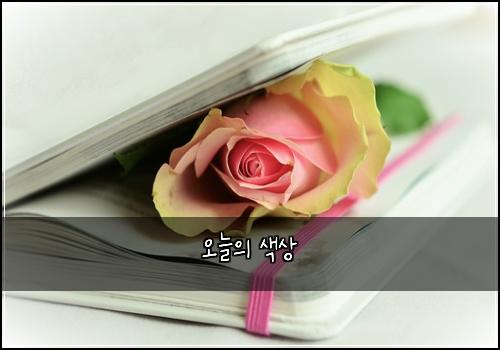 오늘의 색상