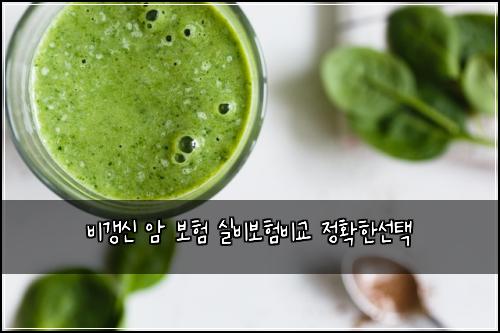 ๋น๊ฐฑ์ ์ ๋ณดํ ์ค๋น๋ณดํ๋น๊ต ์ ํํ์ ํ