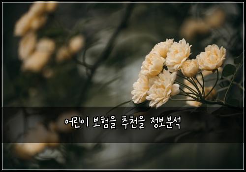 어린이 보험을 추천을 정보분석