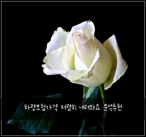 ์ฐจ๋๋ณดํ๊ฐ๊ฒฉ ์ ๋ ดํ ๋ด๋ ค๋ด์ ๋ถ์์ถ์ฒ