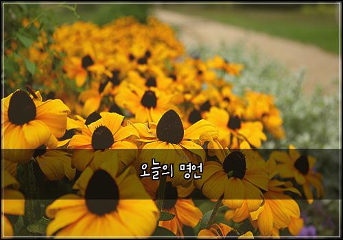 오늘의 명언