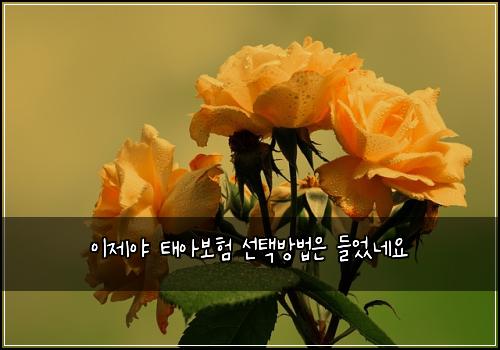 이제야 태아보험 선택방법은  들었네요