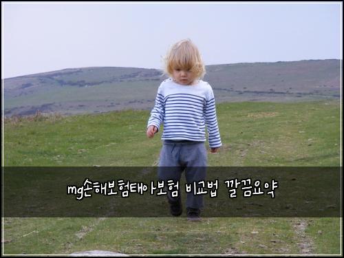 mg손해보험태아보험 비교법 깔끔요약