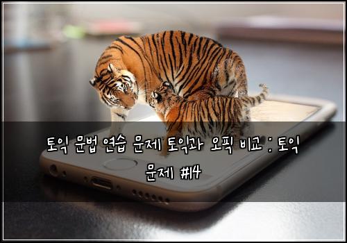 토익 문법 연습 문제 토익과 오픽 비교 : 토익 문제 #14