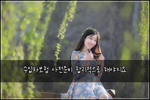 수입차보험 사전준비  합리적으로 해야지요