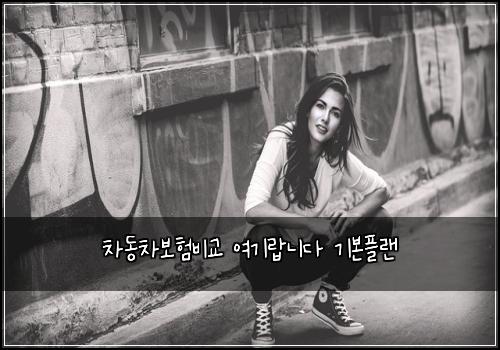 차동차보험비교 여기랍니다 기본플랜