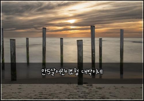 만5살어린이보험 대박이네 