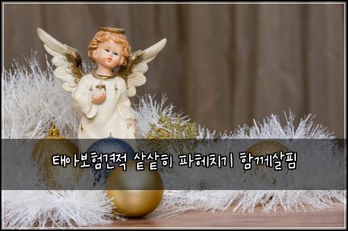 태아보험견적 샅샅히 파헤치기 함께살핌