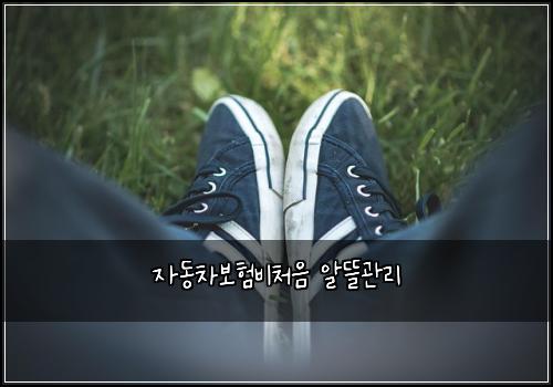 자동차보험비처음 알뜰관리