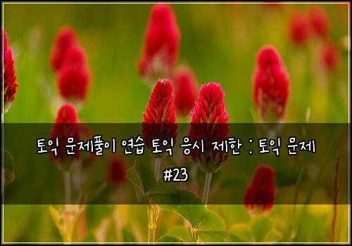 토익 문제풀이 연습 토익 응시 제한 : 토익 문제 #23