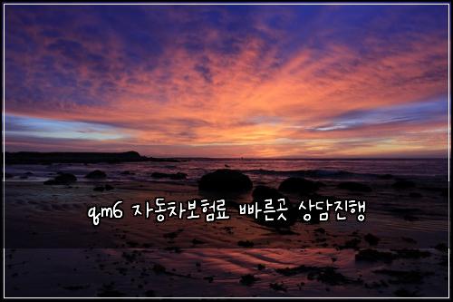 qm6 자동차보험료 빠른곳 상담진행